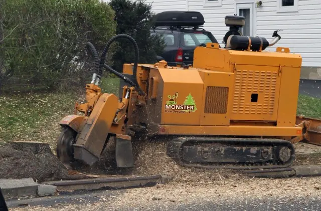 Monster Tree Service of Plano — photo from the business 3