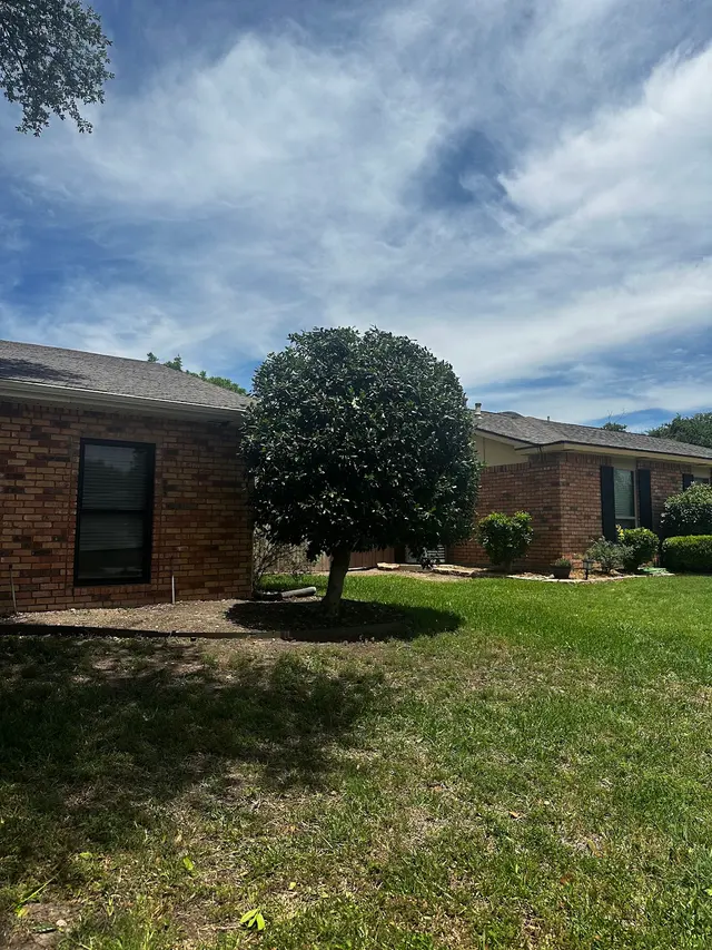 Monster Tree Service of Plano — customer photo 12
