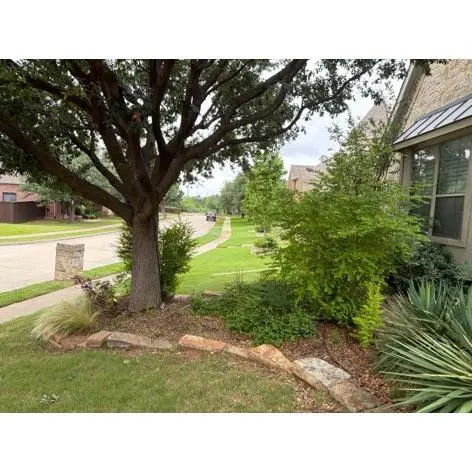 Terra Turf Landscape — customer photo 12