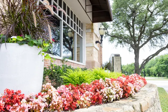 Terra Turf Landscape — photo from the business 5