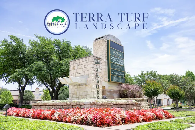 Terra Turf Landscape — photo from the business 8