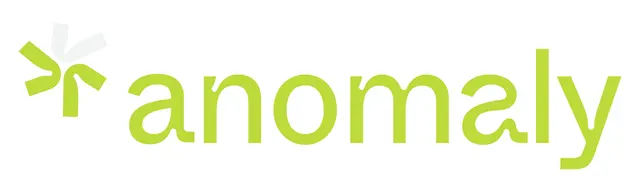 Anomaly CPA — photo from the business 4