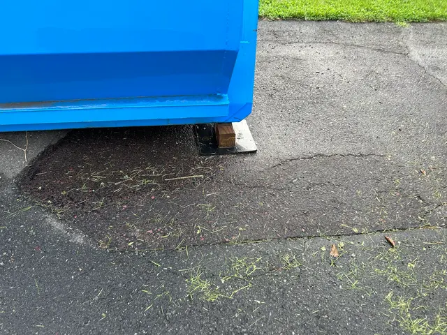 Blue Dumpsters Inc — customer photo 7