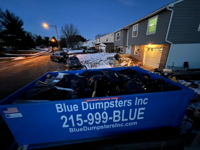 Blue Dumpsters Inc — customer photo 2