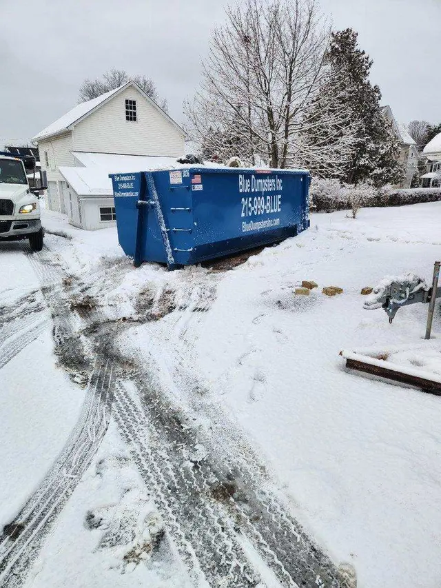 Blue Dumpsters Inc — photo from the business 4