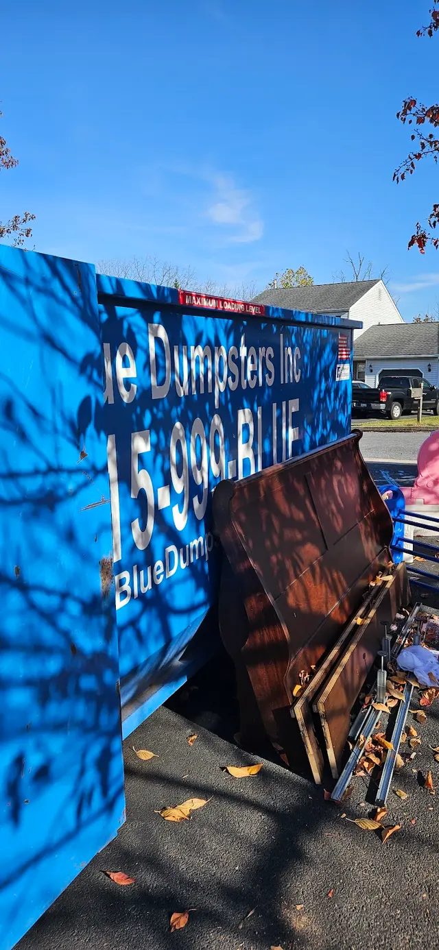 Blue Dumpsters Inc — customer photo 11