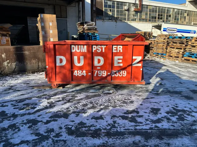 Dumpster Dudez — photo from the business 8