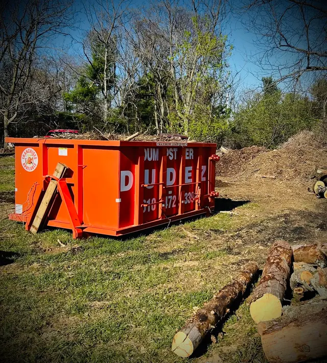Dumpster Dudez — photo from the business 3