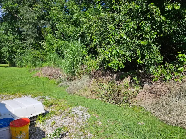 Buck Run Services — customer photo 11
