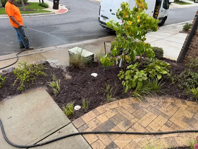 Zippy Plumber — customer photo 3