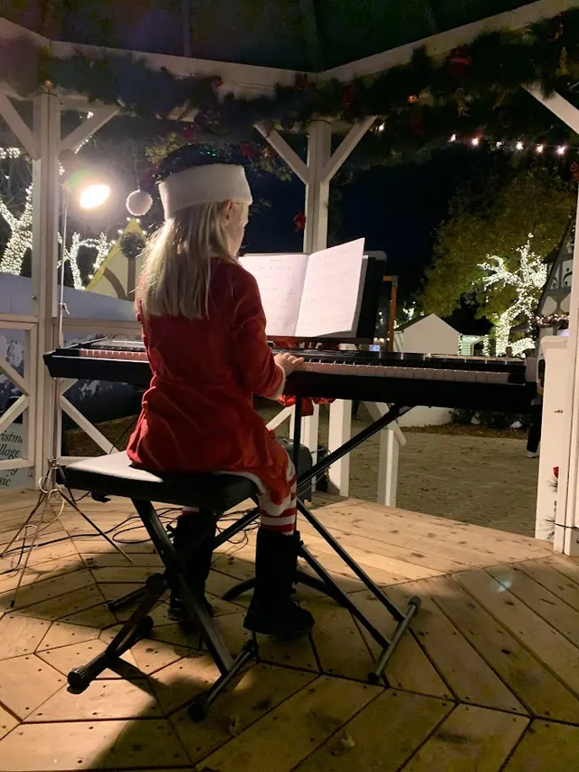 Dallas Piano Academy — photo from the business 4
