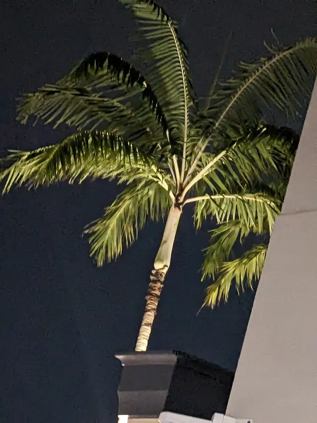 Customer photo of work by Signature Aviation BCT - Boca Raton Airport, from Lupe Flores's review