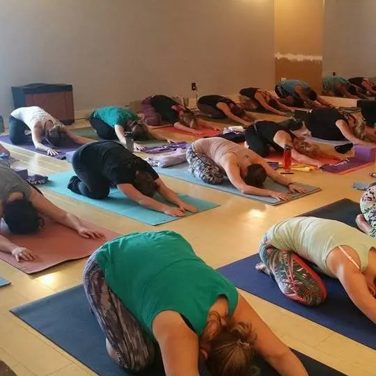 Fuller Yoga Pilates and Wellness — photo from the business 3