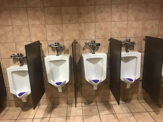 EVERYDAYPLUMBER.com — photo from the business 10