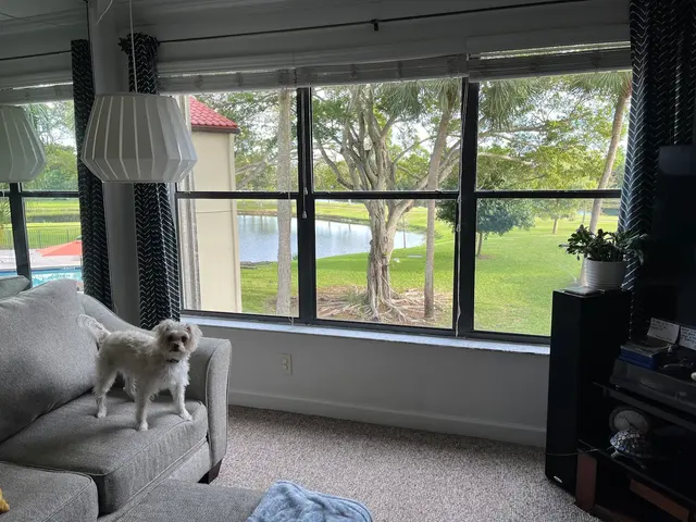 Squeegee Wizards Window Cleaning and Pressure Cleaning — customer photo 2