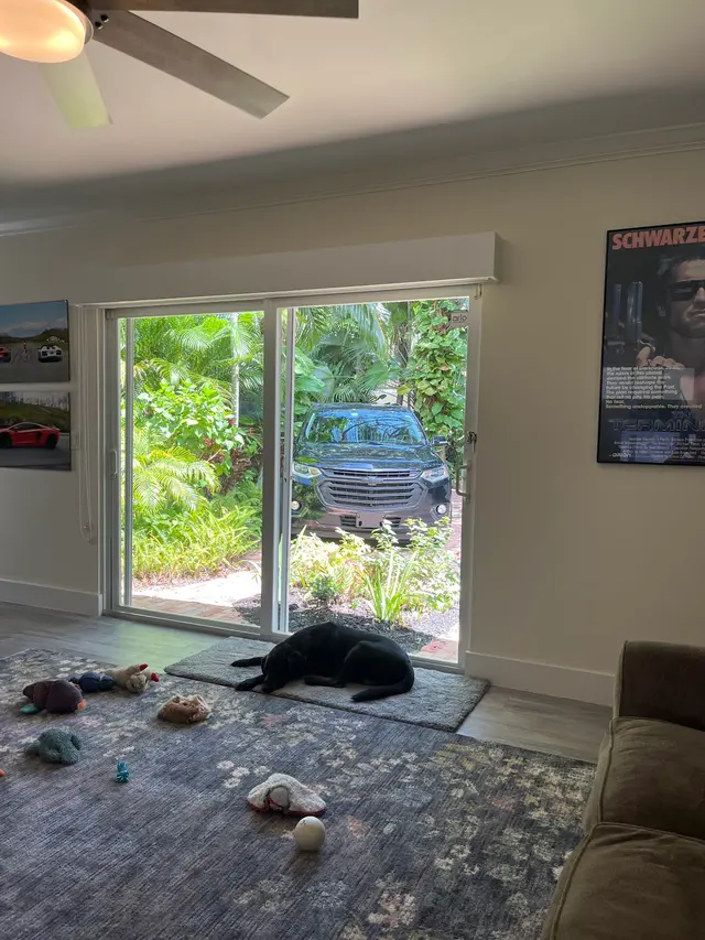 Giraffe Cleans - Window Cleaning — customer photo 9