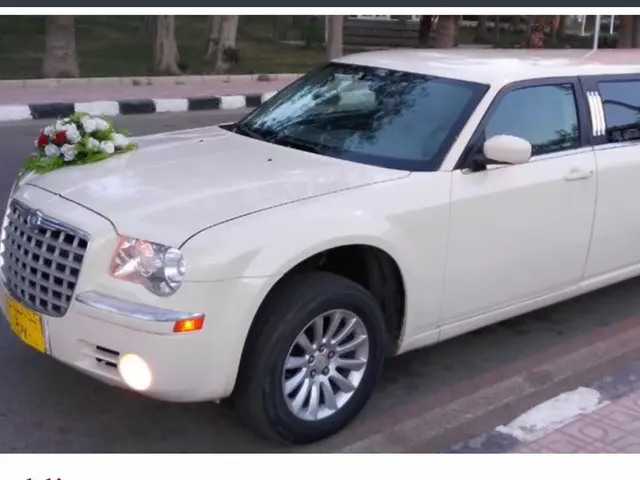 Milford Best Limo — photo from the business 12