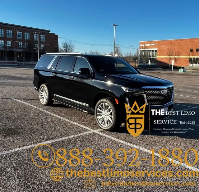 The Best Limo Service — photo from the business 2