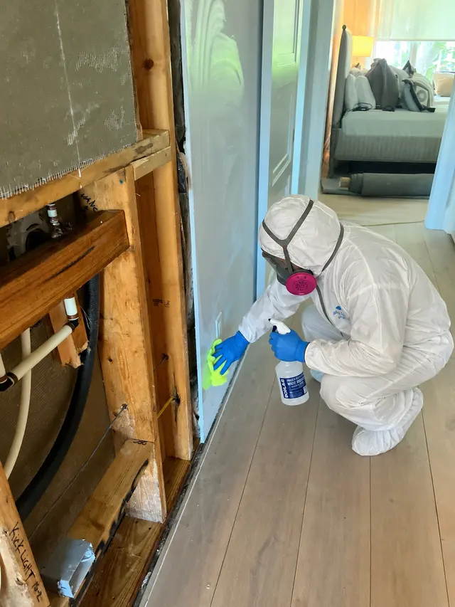 Affordable Water Restoration — photo from the business 1