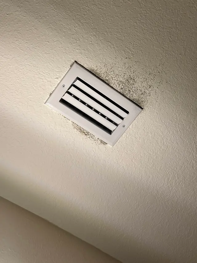 Customer photo of work by Microscope Mold and Water Damage Restoration, from Natasha Selg's review