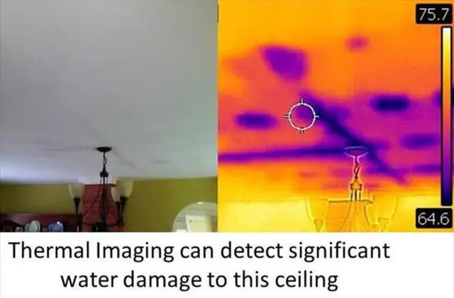 Microscope Mold and Water Damage Restoration — photo from the business 8