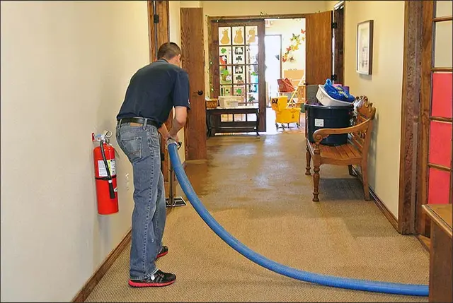 Microscope Mold and Water Damage Restoration — photo from the business 12