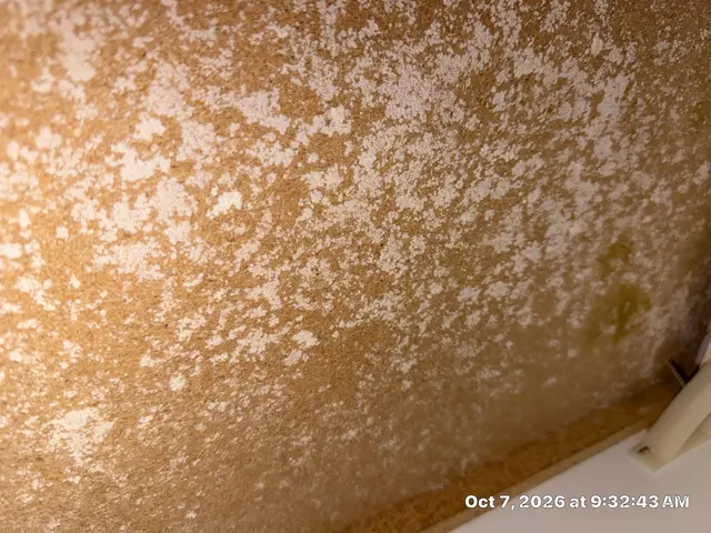 Customer photo of work by Microscope Mold and Water Damage Restoration, from Jeanne R's review