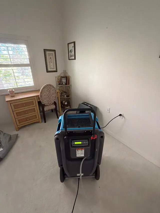 Microscope Mold and Water Damage Restoration — photo from the business 7