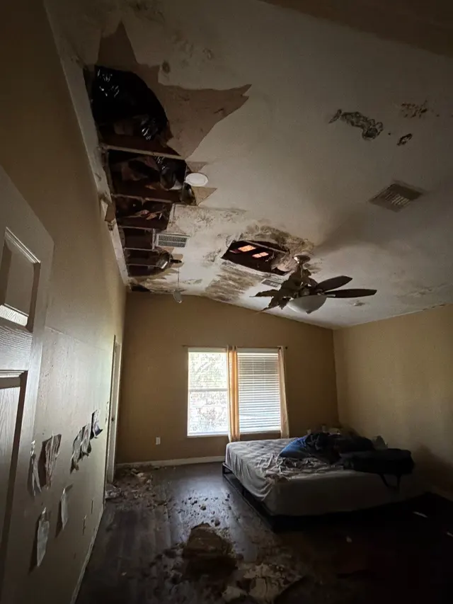 Microscope Mold and Water Damage Restoration — photo from the business 1