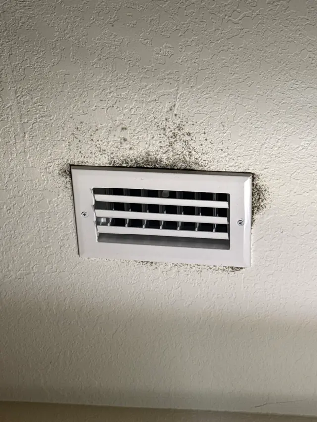 Customer photo of work by Microscope Mold and Water Damage Restoration, from Natasha Selg's review