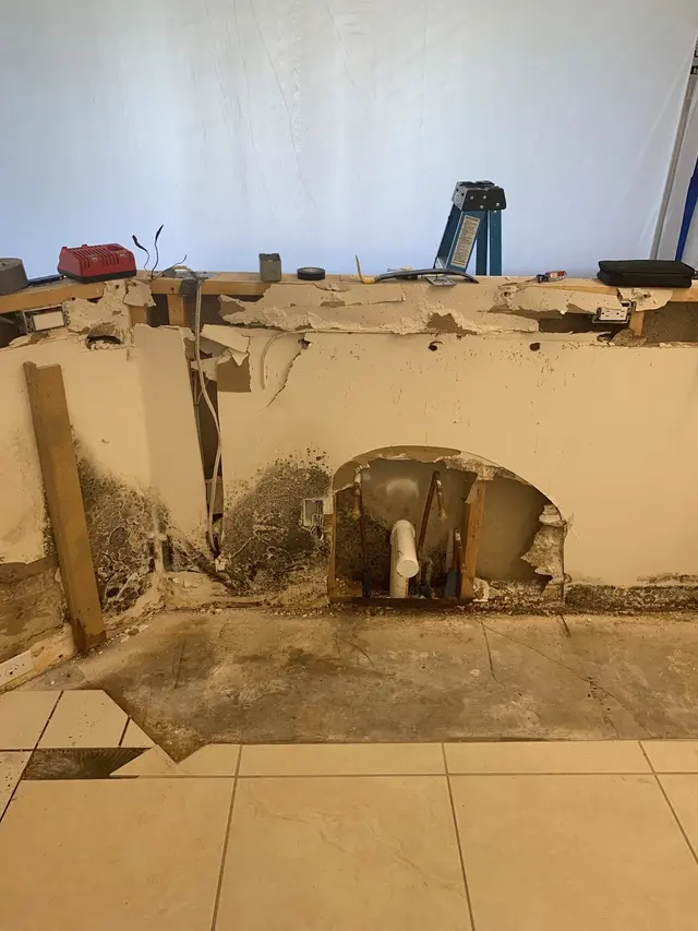 iMold Cleaning and Restoration - Water Damage and Mold Removal Specialists — photo from the business 10