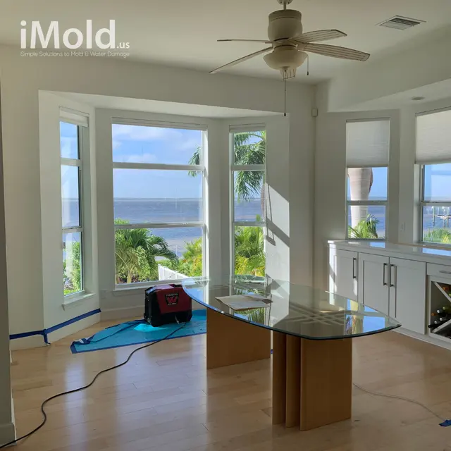 iMold Cleaning and Restoration - Water Damage and Mold Removal Specialists — photo from the business 8