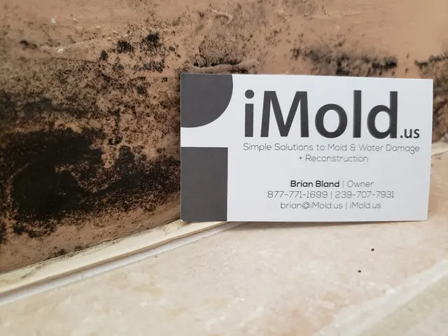 iMold Cleaning and Restoration - Water Damage and Mold Removal Specialists — photo from the business 5