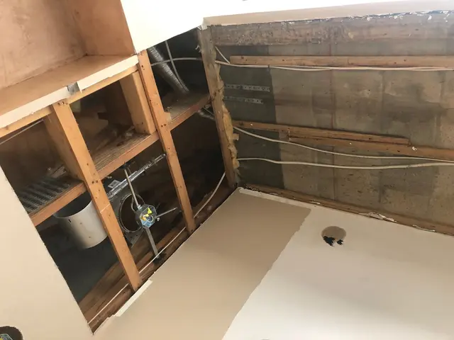 iMold Cleaning and Restoration - Water Damage and Mold Removal Specialists — photo from the business 3
