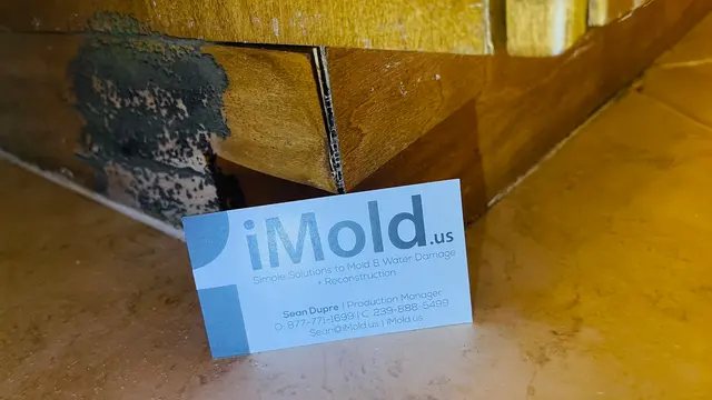 iMold Cleaning and Restoration - Water Damage and Mold Removal Specialists — photo from the business 6