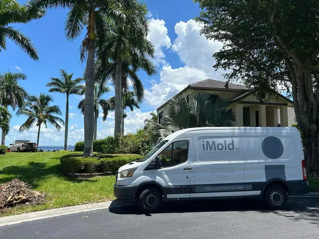 iMold Cleaning and Restoration - Water Damage and Mold Removal Specialists — photo from the business 1