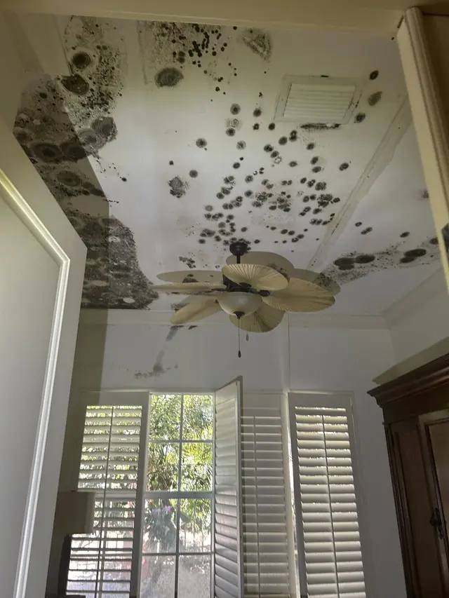 iMold Cleaning and Restoration - Water Damage and Mold Removal Specialists — photo from the business 10