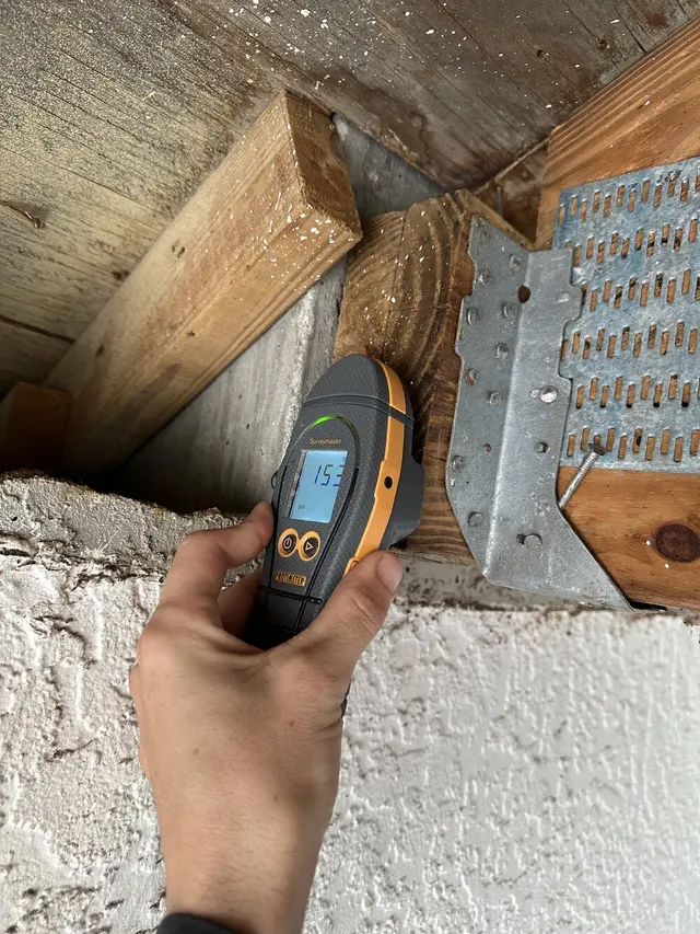 iMold Cleaning and Restoration - Water Damage and Mold Removal Specialists — photo from the business 11
