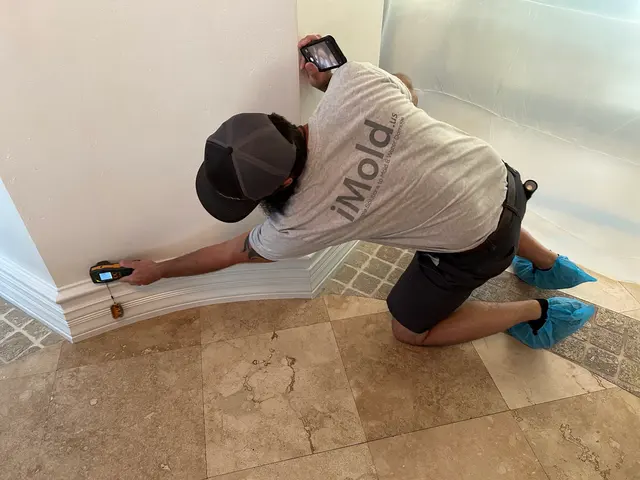iMold Cleaning and Restoration - Water Damage and Mold Removal Specialists — photo from the business 6