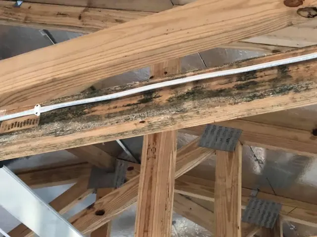 iMold Cleaning and Restoration - Water Damage and Mold Removal Specialists — photo from the business 2