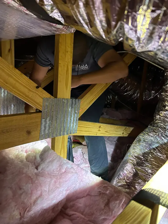 iMold Cleaning and Restoration - Water Damage and Mold Removal Specialists — photo from the business 8