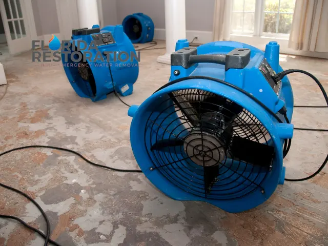 Florida Restoration — photo from the business 6