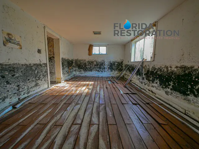 Florida Restoration — photo from the business 11