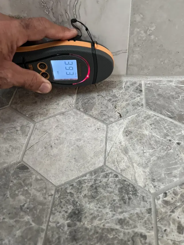 QCI Mold and Water Damage — photo from the business 7