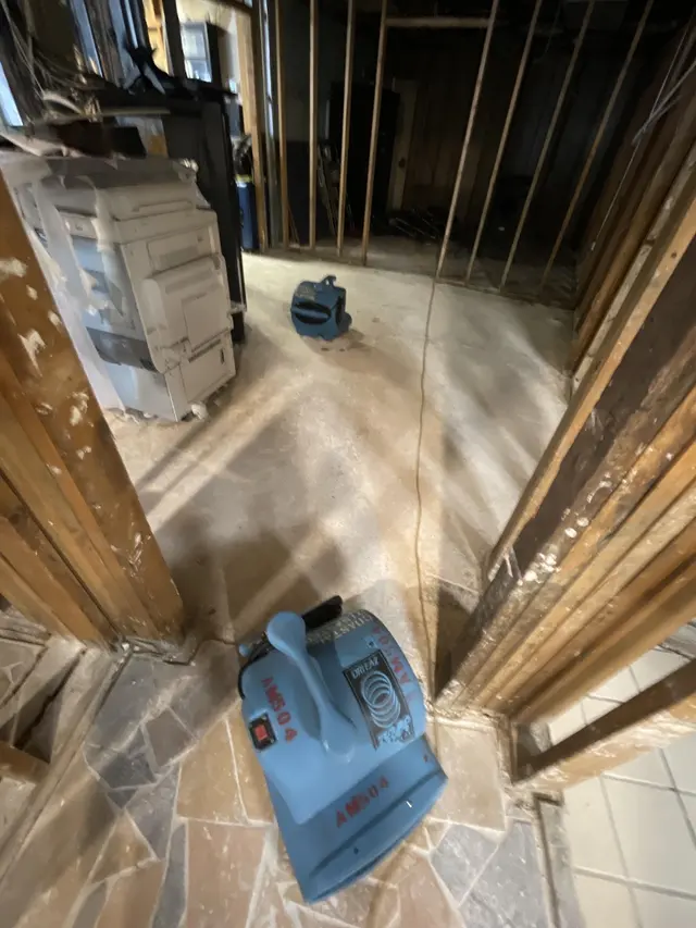 QCI Mold and Water Damage — photo from the business 11
