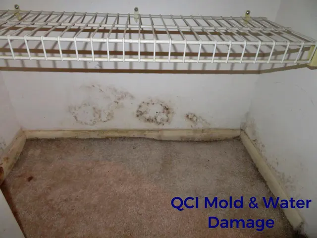 QCI Mold and Water Damage — photo from the business 2