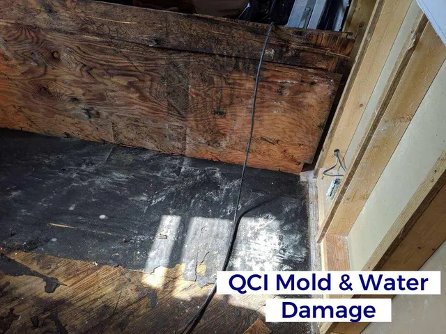 QCI Mold and Water Damage — photo from the business 3