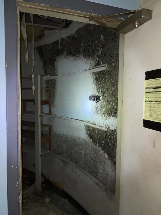 QCI Mold and Water Damage — photo from the business 5