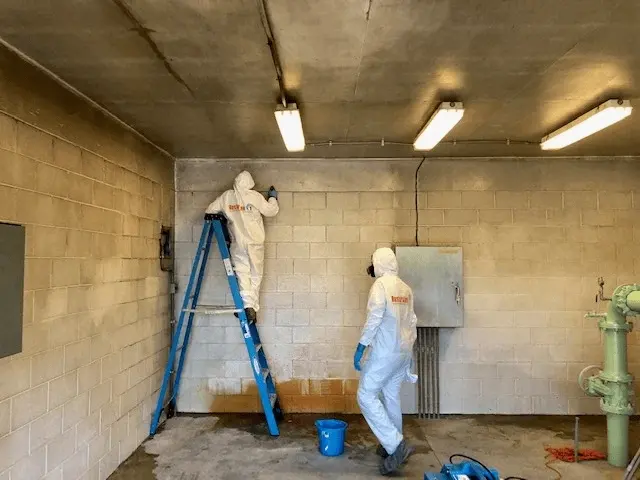 Restoration 1 of Southwest Florida — photo from the business 4