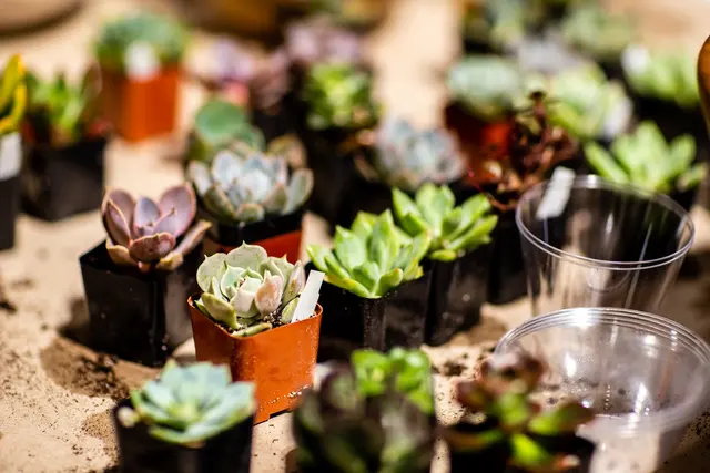 Leelee's Garden — photo from the business 9